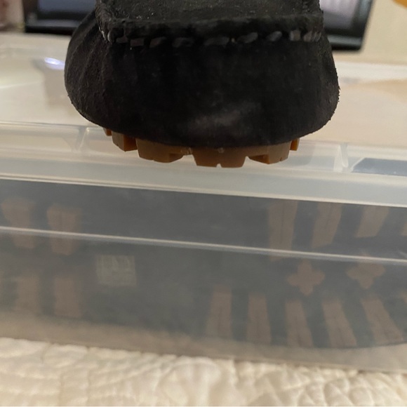 Coach Drivers - Picture 6 of 7